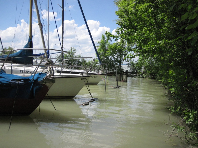 hochwasser2013-01.jpg